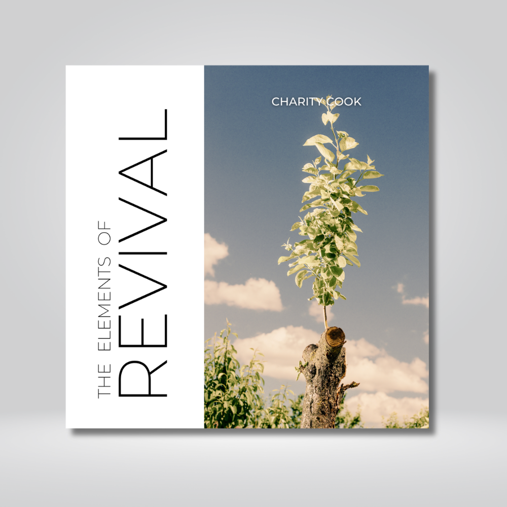 The Elements of Revival Video USB