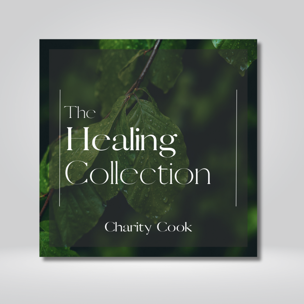 The Charity Cook Healing Collection Video USB