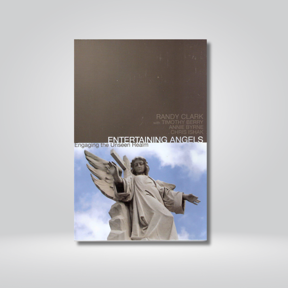 Entertaining Angels PDF