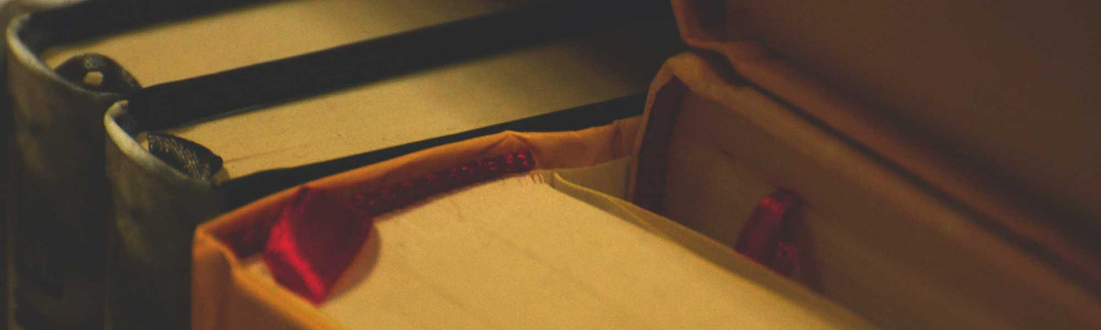 Education | Global Awakening Store