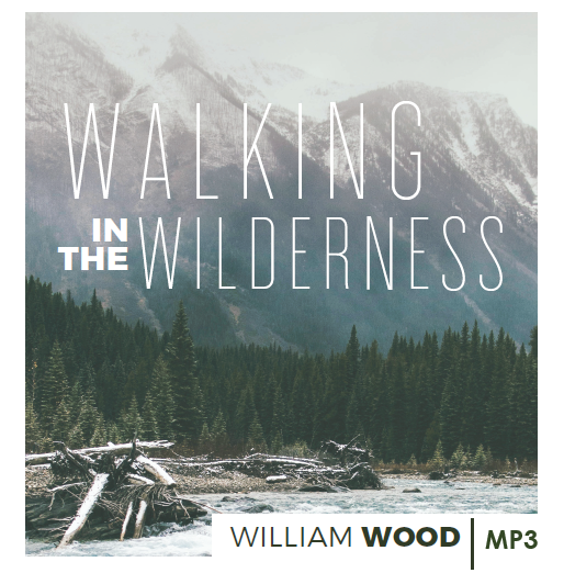 Walking In the Wilderness