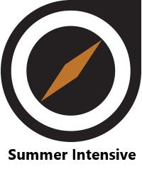 global summer intensive logo