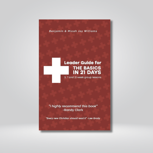 The Basics In 21 Days